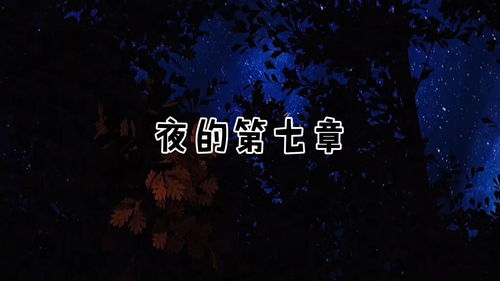 夜晚适合听的纯音乐