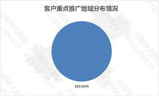 国际音乐合作项目案例分析报告