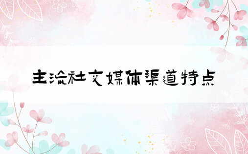 主流社交媒体渠道特点