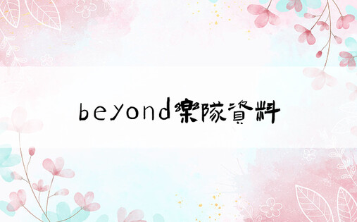 beyond乐队资料