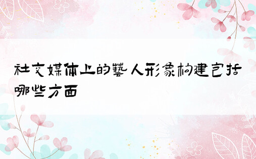 社交媒体上的艺人形象构建包括哪些方面