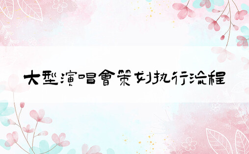 大型演唱会策划执行流程