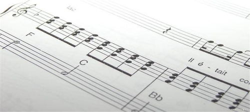 音乐学要学和声吗