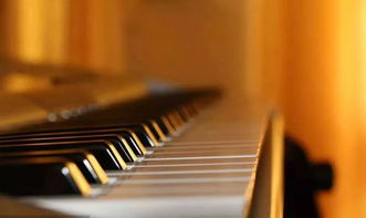专业音乐家钢琴用什么琴比较好